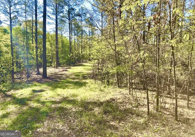 3rd image of 0 Speed Ln, Madison, GA 30650 | MLS# 10766635