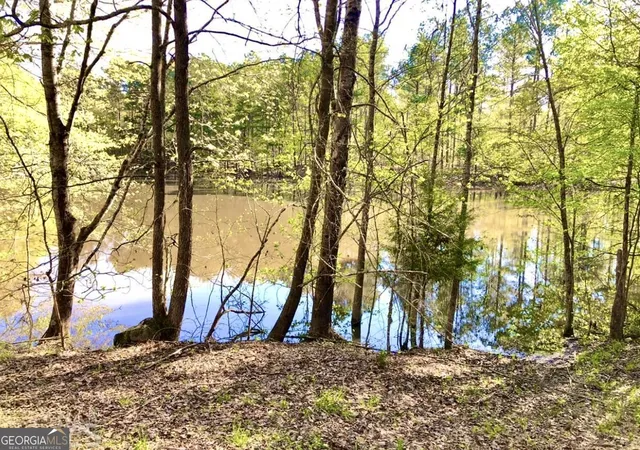 4th image of 0 Speed Ln, Madison, GA 30650 | MLS# 10766635