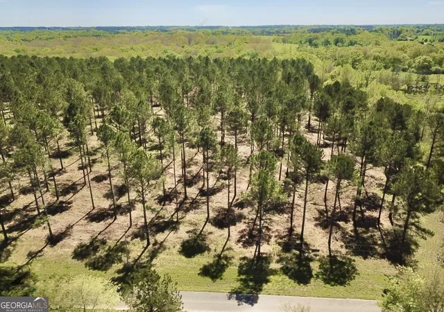 5th image of 0 Speed Ln, Madison, GA 30650 | MLS# 10766635