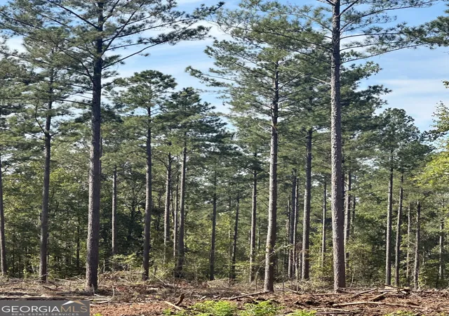 Photo 1 of Sale Pending at 0 Seven Islands Rd, Madison, GA 30650 | MLS# 10462288 | Listing updated on 2026-06-23