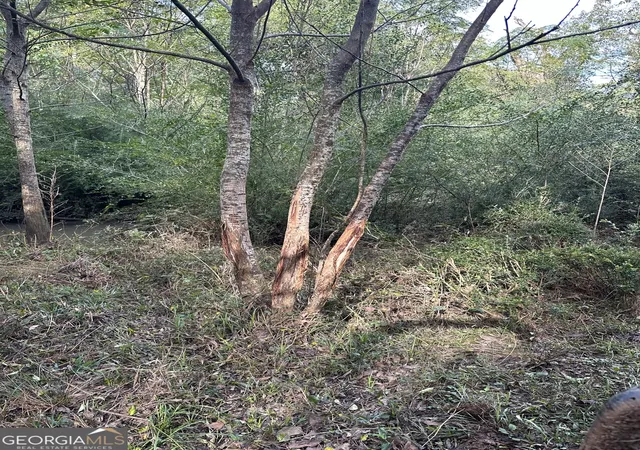 Photo 2 of Sale Pending at 0 Seven Islands Rd, Madison, GA 30650 | MLS# 10462288 | Listing updated on 2026-06-23