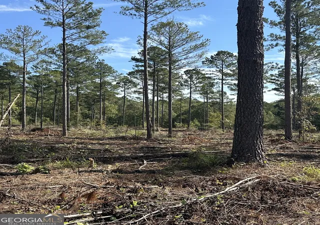 Photo 3 of Sale Pending at 0 Seven Islands Rd, Madison, GA 30650 | MLS# 10462288 | Listing updated on 2026-06-23