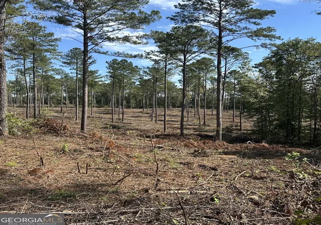 Photo 4 of Sale Pending at 0 Seven Islands Rd, Madison, GA 30650 | MLS# 10462288 | Listing updated on 2026-06-23