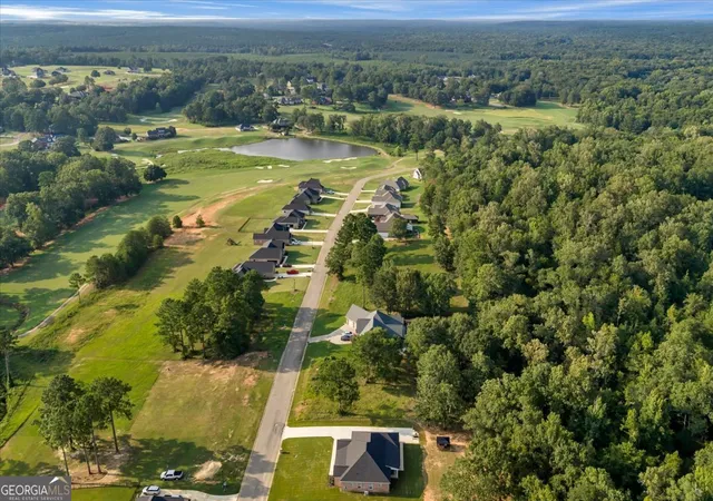 Photo 20 of Land for sale at 0 River Ridge Dr, Hawkinsville, GA 31036 | MLS# 10816088 | Listing updated on 2026-08-13