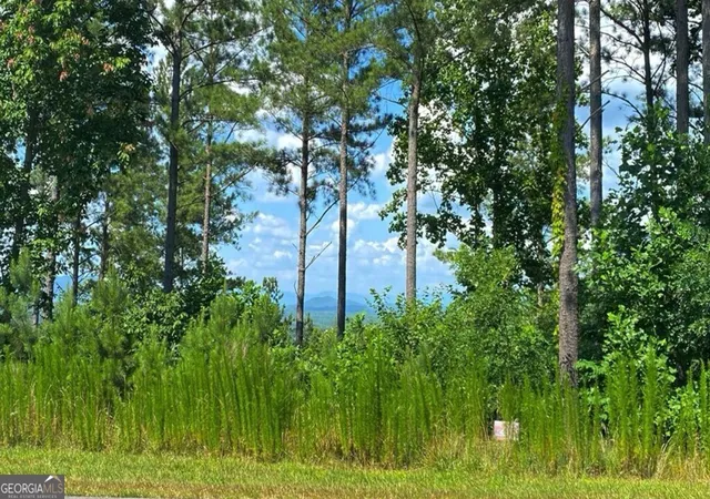 Photo 3 of Land for sale at Lot 251 Ridge Pointe Way, Blairsville, GA 30512 | MLS# 10400110 | Listing updated on 2026-06-06
