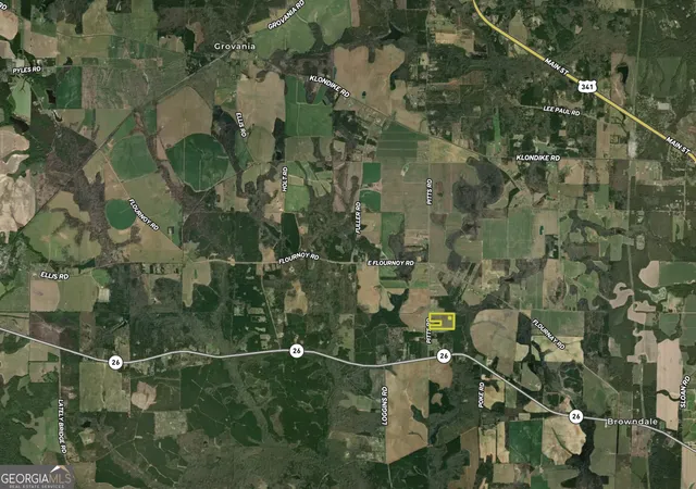 Homes for sale in Hawkinsville, GA | 759 Pitts Road, Hawkinsville, GA 31036 | MLS# 10760439