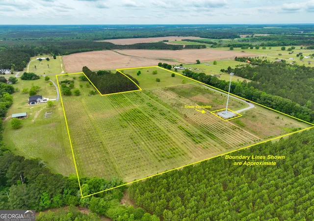Homes for sale in Hawkinsville, GA | 759 Pitts Road, Hawkinsville, GA 31036 | MLS# 10760439