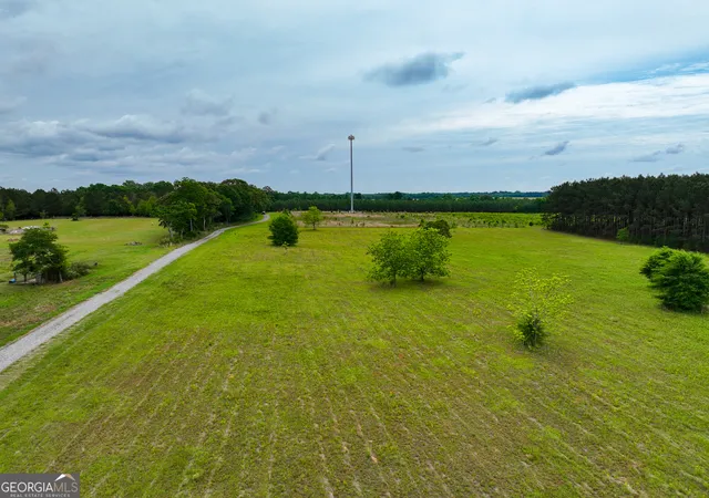 Homes for sale in Hawkinsville, GA | 759 Pitts Road, Hawkinsville, GA 31036 | MLS# 10760439