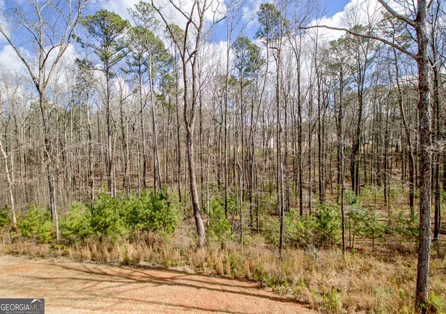 71st image of 169 Emery Nell Ln, Newnan, GA 30263 | MLS# 10810588