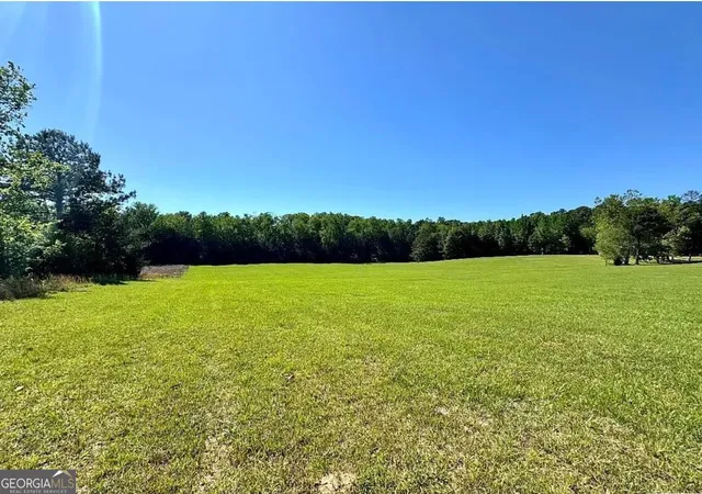 Homes for sale in Roanoke, AL | 6741 County Road 87, Roanoke, AL 36274 | MLS# 10802033