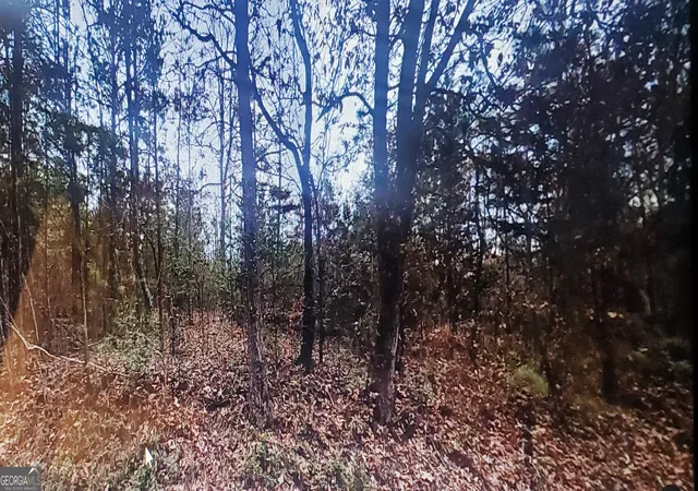 1st image of 0 Sweetwater Church Rd, Dawsonville, GA 30534 | MLS# 10682966