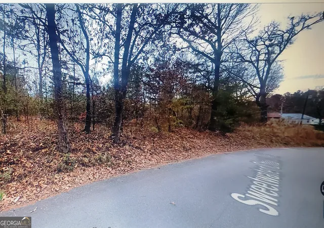 2nd image of 0 Sweetwater Church Rd, Dawsonville, GA 30534 | MLS# 10682966