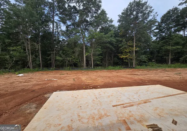 21st image of 176 Preserve Trl, Lavonia, GA 30553 | MLS# 10818100