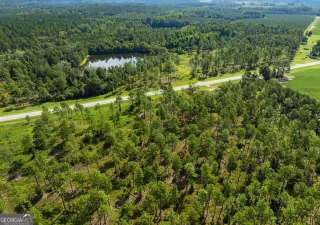 Photo 3 of House for sale at 21201 N Hwy 23, Metter, GA 30439 | MLS# 10832005 | Listing updated on 2026-09-17