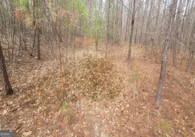 Photo 4 of House for sale at 306 Patterson Rd, Griffin, GA 30223 | MLS# 10767337 | Listing updated on 2026-08-10