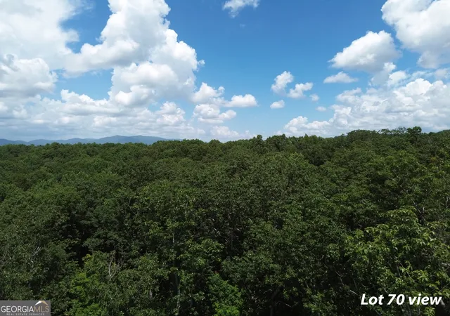 1st image of Lot 70 High Summit Dr, Talking Rock, GA 30175 | MLS# 10811638