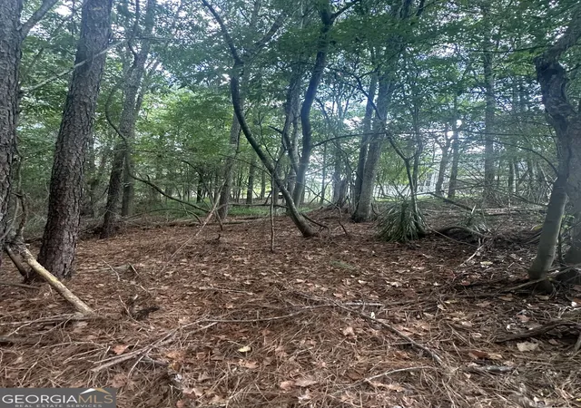 Photo 3 of Land for sale at 2390 Indigo Ct, Lizella, GA 31052 | MLS# 10823060 | Listing updated on 2026-09-01