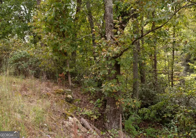 Photo 4 of Land for sale at 3831 Skyline Dr, Gainesville, GA 30501 | MLS# 10622404 | Listing updated on 2025-10-24