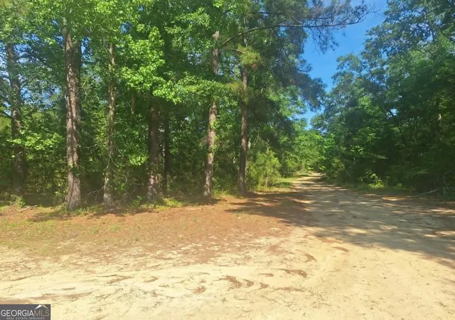 Homes for sale in Millen, GA | 4485 Langston Dr, Millen, GA 30442 | MLS# 10792754