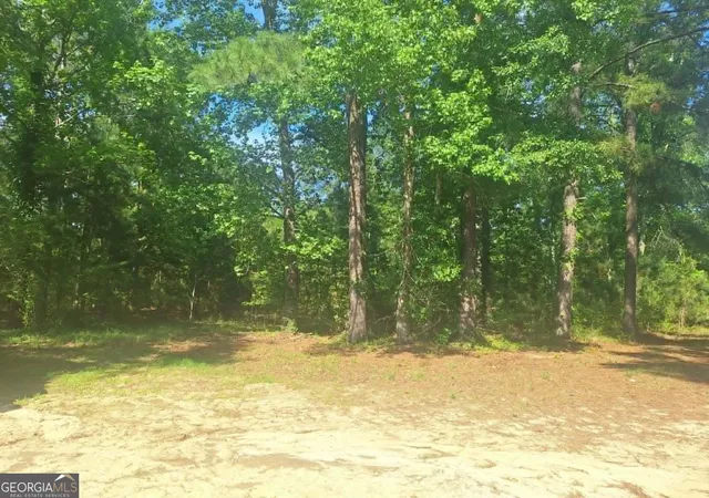 Homes for sale in Millen, GA | 4485 Langston Dr, Millen, GA 30442 | MLS# 10792754