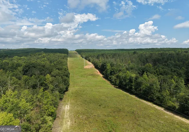 1st image of 0 Hwy 57, Mcintyre, GA 31054 | MLS# 10819698