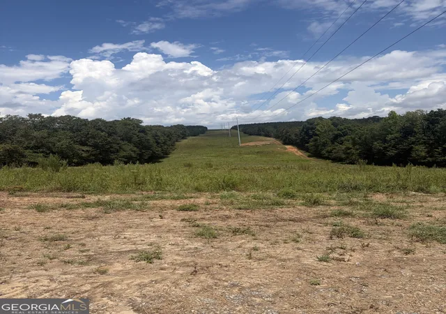 24th image of 0 Hwy 57, Mcintyre, GA 31054 | MLS# 10819698