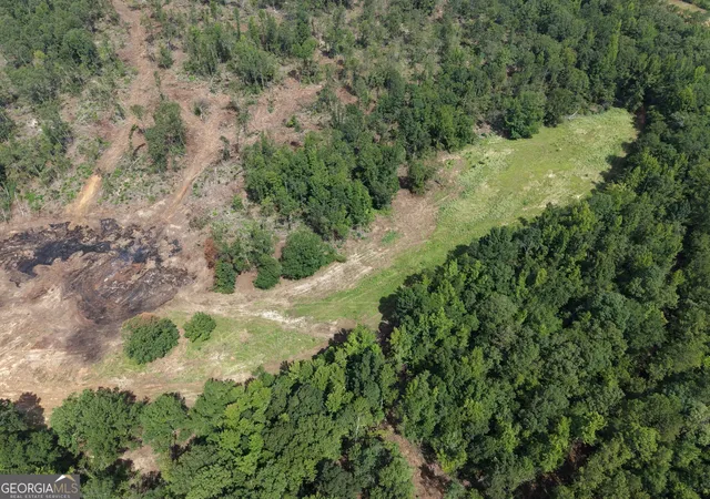 Photo 3 of Land for sale at 0 Highway 57, Mcintyre, GA 31054 | MLS# 10819698 | Listing updated on 2026-08-09