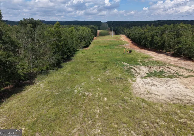 Photo 4 of Land for sale at 0 Highway 57, Mcintyre, GA 31054 | MLS# 10819698 | Listing updated on 2026-08-09