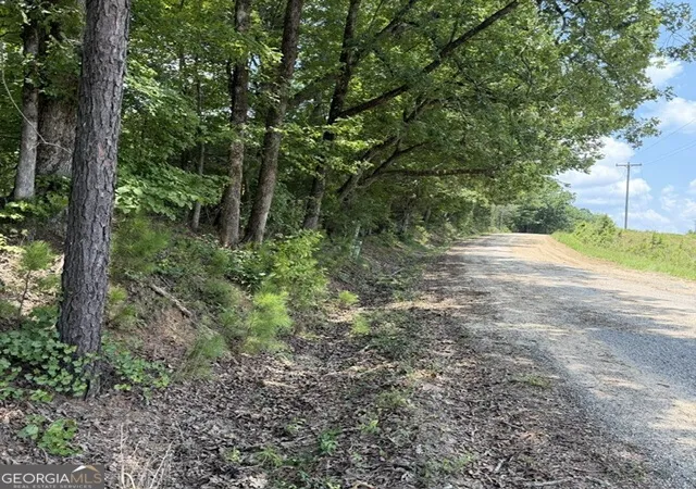 1st image of 8061 Acres Howard Neal Road, Junction City, GA 31812 | MLS# 10807187