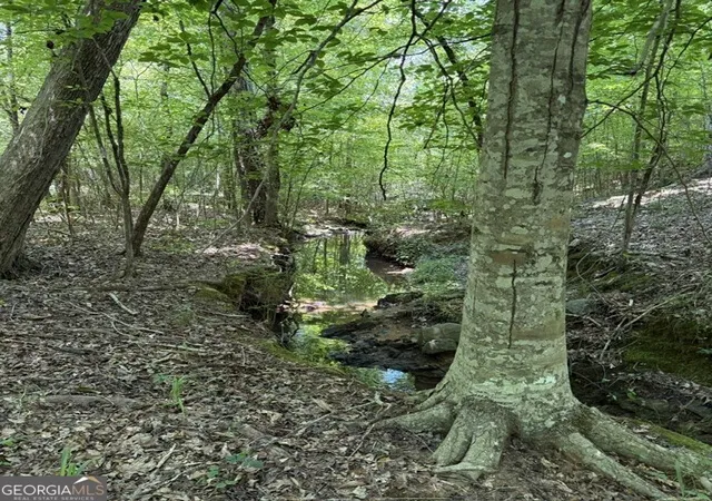 4th image of 8061 Acres Howard Neal Road, Junction City, GA 31812 | MLS# 10807187