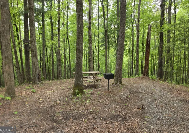Photo 3 of Land for sale at 0 Pleasant Hl Trl, Ellijay, GA 30540 | MLS# 10757751 | Listing updated on 2026-10-05