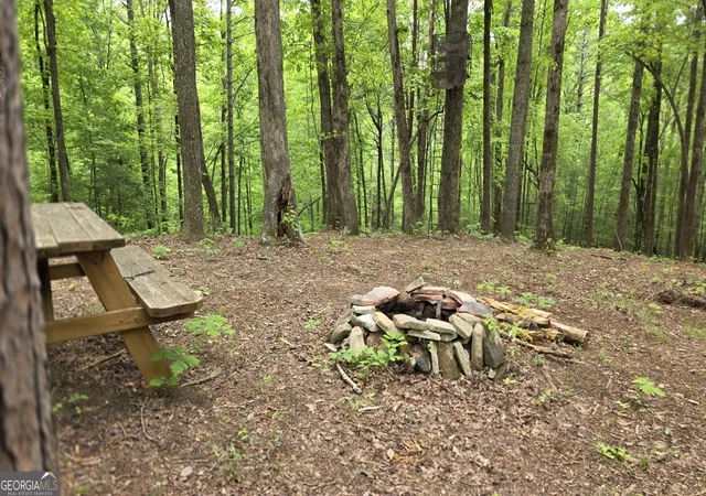 Photo 3 of Land for sale at 0 Pleasant Hl Trl, Ellijay, GA 30540 | MLS# 10757751 | Listing updated on 2026-10-05