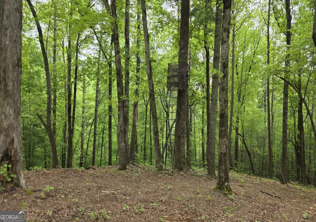 Photo 4 of Land for sale at 0 Pleasant Hl Trl, Ellijay, GA 30540 | MLS# 10757751 | Listing updated on 2026-10-05