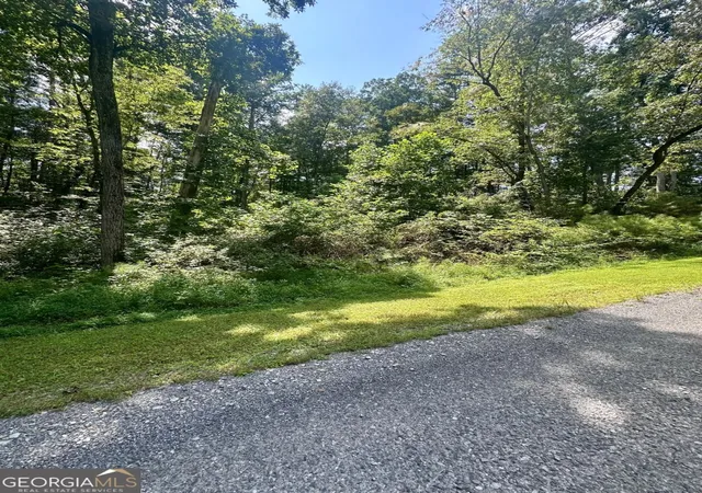 Photo 2 of Land for sale at Lt 43 Hilton Dr, Ellijay, GA 30540 | MLS# 10825042 | Listing updated on 2026-08-27