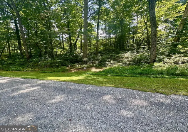 Photo 3 of Land for sale at Lt 43 Hilton Dr, Ellijay, GA 30540 | MLS# 10825042 | Listing updated on 2026-08-27