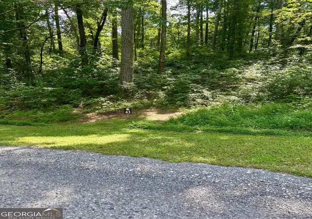 Photo 4 of Land for sale at Lt 43 Hilton Dr, Ellijay, GA 30540 | MLS# 10825042 | Listing updated on 2026-08-27