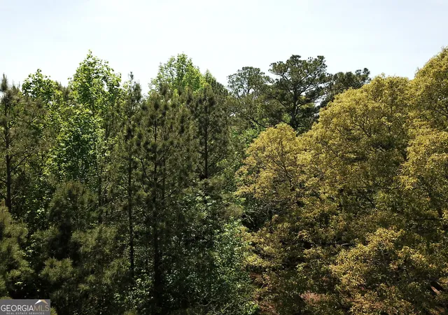 4th image of 0 Waddell Rd, Bremen, GA 30110 | MLS# 10778868