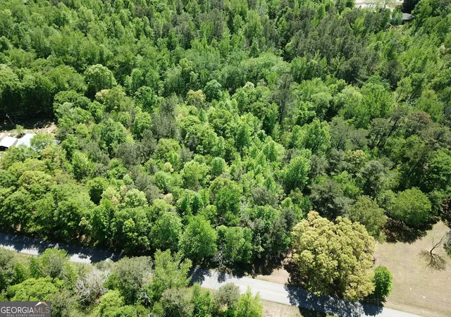5th image of 0 Waddell Rd, Bremen, GA 30110 | MLS# 10778868