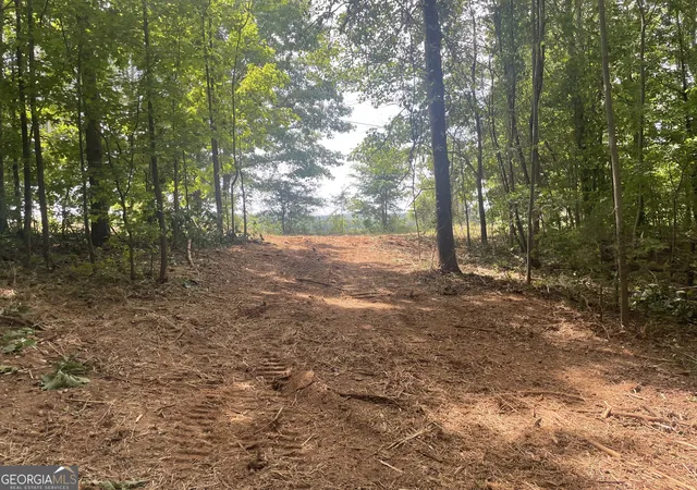 1st image of 0 Kesler, Carnesville, GA 30521 | MLS# 10664561