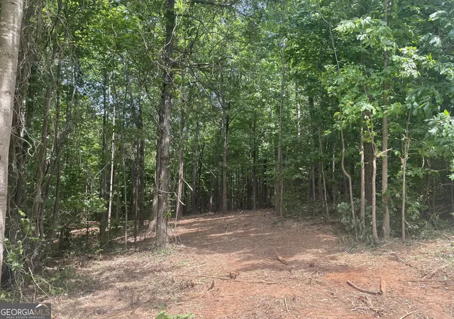 2nd image of 0 Kesler, Carnesville, GA 30521 | MLS# 10664561