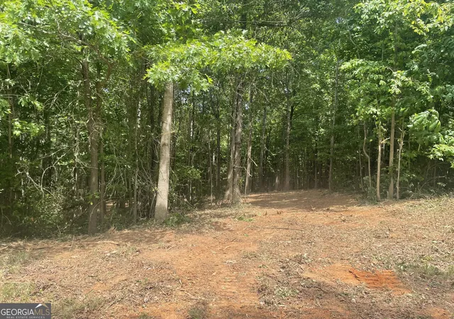 3rd image of 0 Kesler, Carnesville, GA 30521 | MLS# 10664561