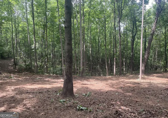 4th image of 0 Kesler, Carnesville, GA 30521 | MLS# 10664561