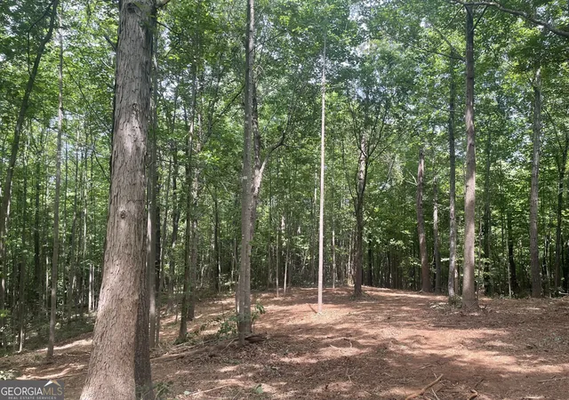 5th image of 0 Kesler, Carnesville, GA 30521 | MLS# 10664561