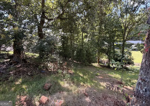 Photo 3 of Sale Pending at 0 Fodder Creek Road, Hiawassee, GA 30546 | MLS# 10827483 | Listing updated on 2026-08-24