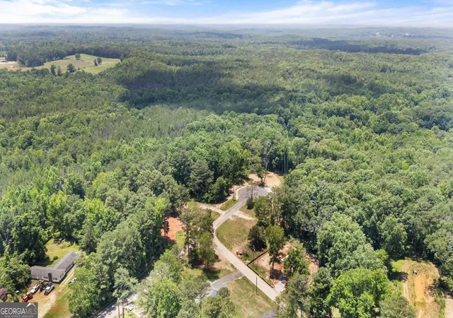 25th image of 162 Clemit Harris Rd #LOT 9, Newnan, GA 30263 | MLS# 10766151