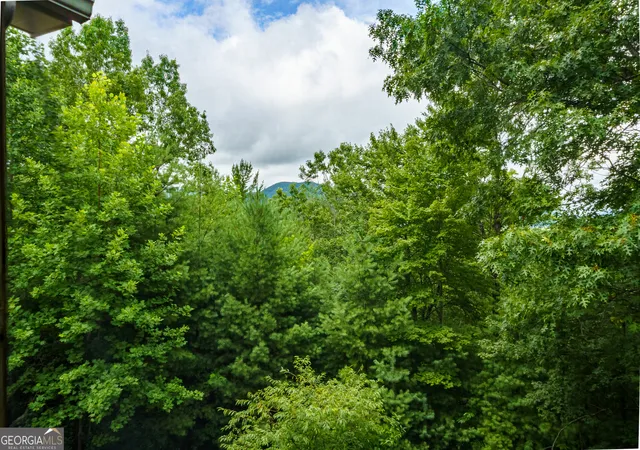 61st image of 51 Hightower Trl, Hiawassee, GA 30546 | MLS# 10800004