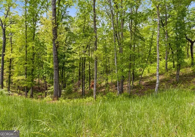 Photo 1 of Land for sale at Lot 39 Jakes Landing Wy, Ellijay, GA 30540 | MLS# 10742442 | Listing updated on 2026-08-22