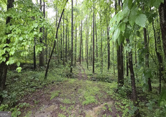 1st image of 0 Brewsterfield Rd, Cedartown, GA 30125 | MLS# 10762751