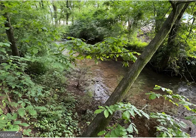 2nd image of 0 Brewsterfield Rd, Cedartown, GA 30125 | MLS# 10762751