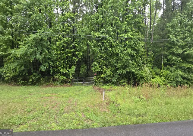 3rd image of 0 Brewsterfield Rd, Cedartown, GA 30125 | MLS# 10762751